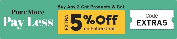 Cat Month Sale